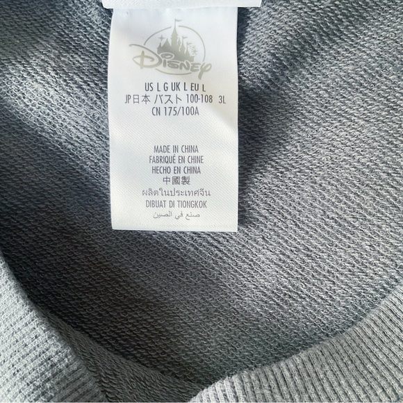 Walt Disney World 50th Anniversary Dolman Sleeve Sweatshirt Dark Grey Size L - Picture 8 of 9